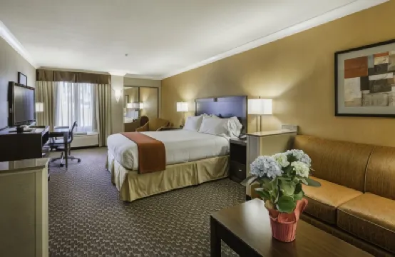 Holiday Inn Express CASTRO VALLEY - I-580 by IHG