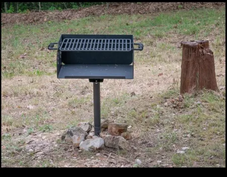 Cozy Rustic Cabin in the Woods near Grand Lake