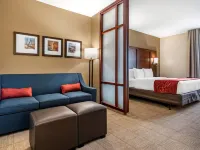 Comfort Suites Airport Hotels in Flowood