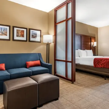 Comfort Suites Airport