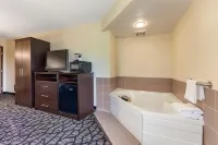 Quality Inn - Hot Tub