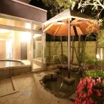 Koga No Okuzashiki Okawara Onsen Kamoshikasou Hotels in Hino