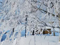 Koivuniemi Hotels in Sonkajarvi