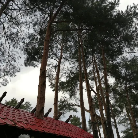Рубикон