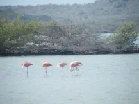 Sea bay viewNext to the mall and shopsNext to the sea