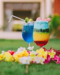 Luwa Evergreen Hotel - ที่มีบาร์