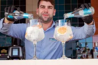 Sines Sea View Business & Leisure Hotel - Bar