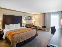 Comfort Inn Castro Valley Hotels in Castro Valley