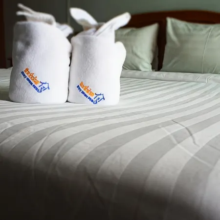 Ritzy House Hotel