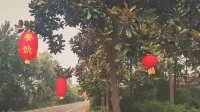 Qiansuwei Nongjiale - Pet friendly