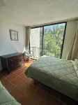 Palm Tree Cove - Stunning Partial Ocean Views; Beachfront Location! - balcony