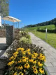 Gemütliche Ferienwohnung mit Blick auf Wald Wiesen und Dolomiten - Wifi