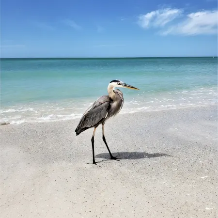 EXCELLENT LOCATION IN THE HEART OF HOLMES BEACH ON ANNA MARIA ISLAND!