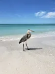 EXCELLENT LOCATION IN THE HEART OF HOLMES BEACH ON ANNA MARIA ISLAND! - 비치