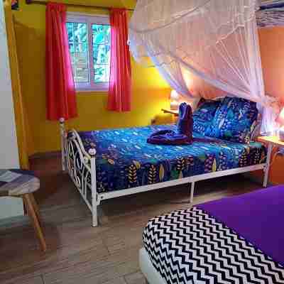 Gite for 2 to 4 -Available from 1804 to 240426- -Vehicle Rental -Beach on Foot Rooms