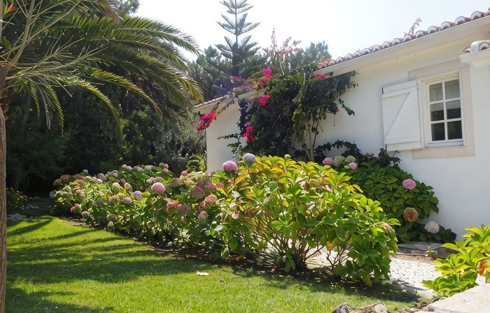 Villa with Books, Sun, Swing Bed, Private Pool And A Spacious Garden To Enjoy