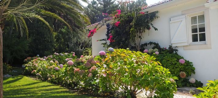 Villa with Books, Sun, Swing Bed, Private Pool And A Spacious Garden To Enjoy Hotels in Obidos
