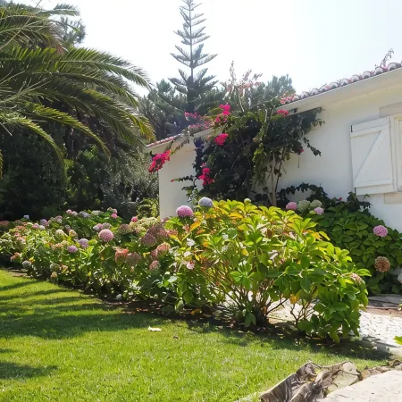 Villa with Books, Sun, Swing Bed, Private Pool And A Spacious Garden To Enjoy