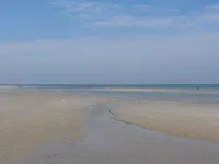 Stay in a TINY HOUSE!★0.4mi to Beach★Village★Restaurants★Pet Friendly ★ 2 bikes! - 3성급