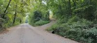 Cozy cabin 16 miles from Razorback Stadium great for game weekends. No pets.
