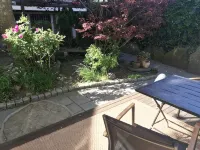 Wonderful Beachside Hideaway. Steps to the Beach and Action! Carnival wk Open! - 2 stjerner