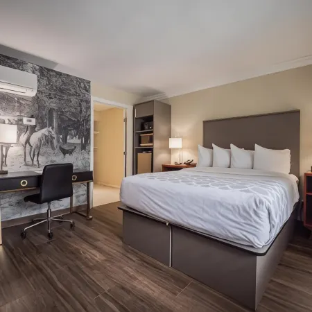 Equus Inn I75