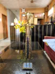 Balaji Lodge