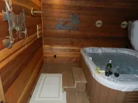 Indoor Private Hot Tub, Wood Fireplace, 2Br,2BA Great Views!  Sleeps 5 - Bathtub