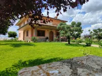 Villa Ulivi - Homestays