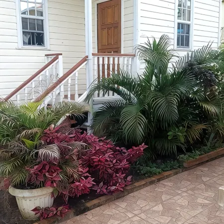 Two charming 2-bedroom cottages with AC and WiFi in delightful Queenstown  Gtown