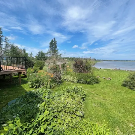 Spruce Cove Retreat 2 separate spaces in one! Main and guest house. Pet friendly