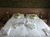 Hotel Ponteo - Activity Park - Wifi