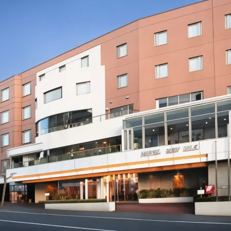 Silk Hotel Annex Отели в г. Иида