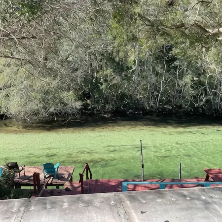 Main River house: Includes Kayaks, Canoe, Game Rm, Weeki Spring behind home,