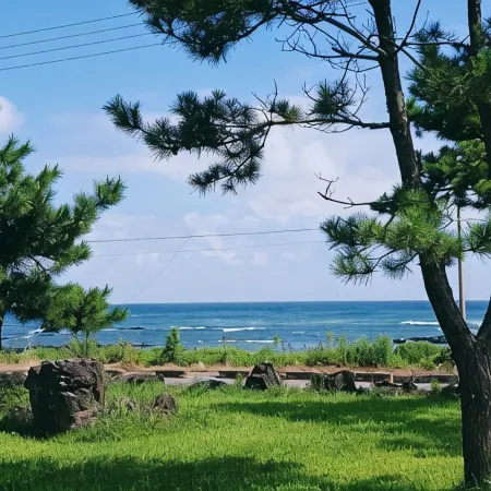 Seogwipo Wooribada Pension Отели рядом с достопримечательностью «Пляж Пёсон»