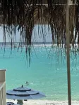 Elegant Poolside Apartment, Large Covered Terrace- Walk to Beach, West Coast - Apartments