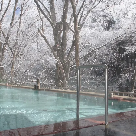 Tsuruya Ryokan