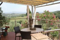 Lovingly Renovated Country House in the Olive Grove with Large Panoramic Pool, Air Conditioning - 3-Star