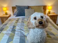 Weaver’s Den, a cosy countryside retreat - Wifi