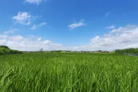 莞島郡 リハウス ペンション - 2つ星