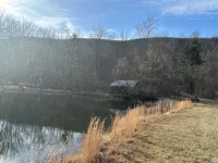 Secluded cozy cabin with modern amenities/hot tub/pet friendly/wifi - Alphydda