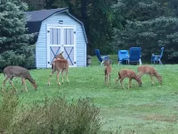 Beautiful 4 season getaway  in the scenic northwoods of the Western UP! - 3-Star