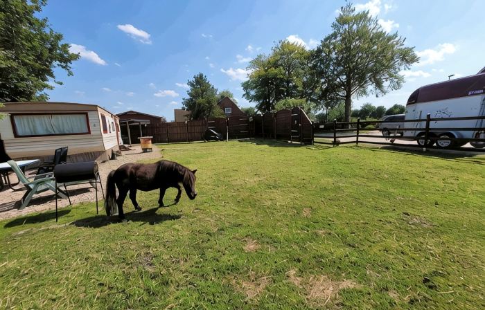 Urlaub mit Ponies und Campingflair