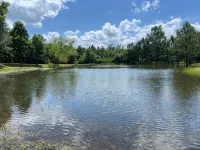 Cozy cabin w/ private pond & firepit. 3 miles to lake & 12 to Crater of Diamonds - Chalets