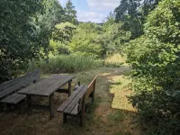 Quietly located holiday home with a natural garden, 500m from the lake and the forest - Homestays