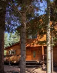 Sit on Your Deck in an Alpine Forest & Next to Mountain Stream - Homestays