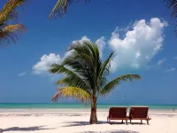 El Corazón Boutique Hotel - Adults Only with Pool & Beach Club Access - Scenic