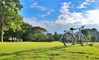 a white bicycle is parked on a grassy field with trees and a blue sky in the background at Vimannam Resort