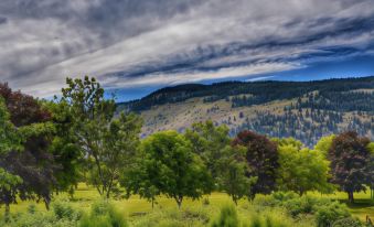 Sunny Shuswap B&B