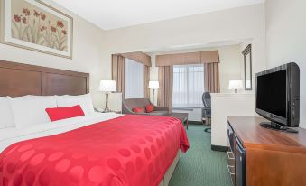 Ramada by Wyndham Denver International Airport